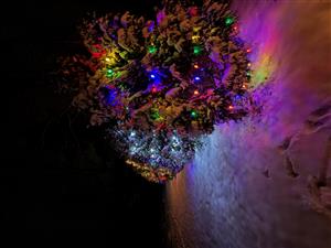 1964 Old Creamery Rd 2