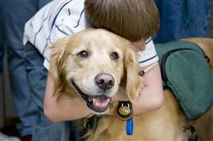 a young boy hugs a golden retriever therapy dog for comfort