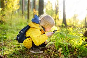 A child looks through a magnifying glass at a plant