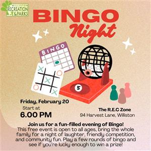 Bingo Night